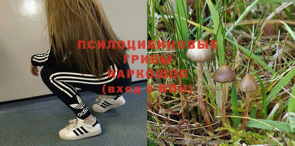 ПСИЛОЦИБИНОВЫЕ ГРИБЫ Алексеевка